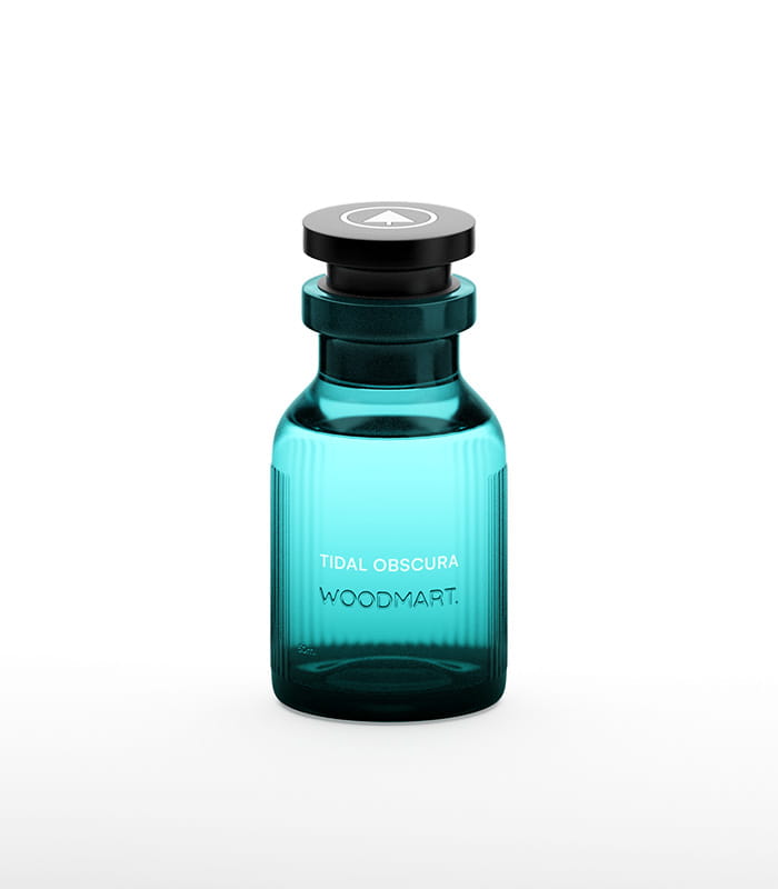 tidal obscura 2.jpeg