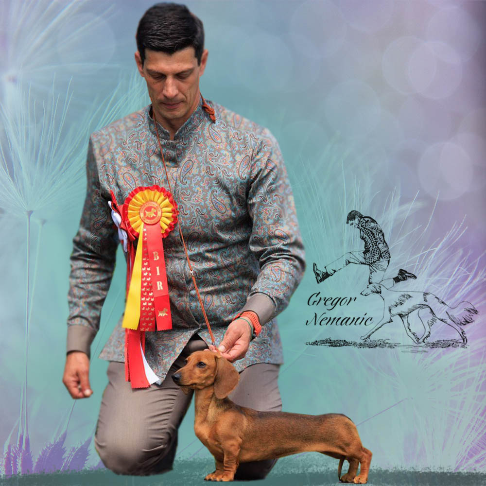 GREGOR handling solutions profilex